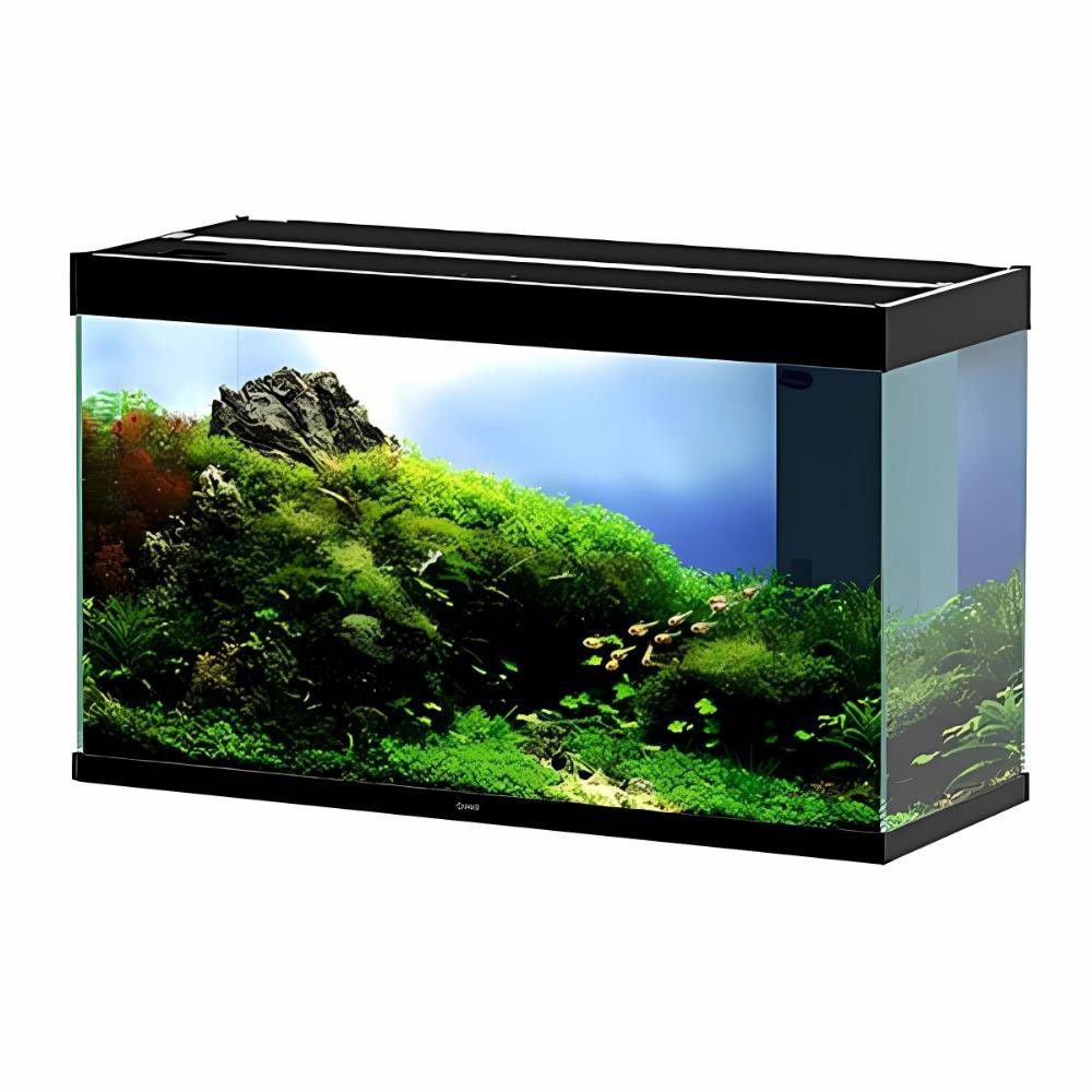 CIANO EMOTIONS NATURE PRO 100 LED BLACK