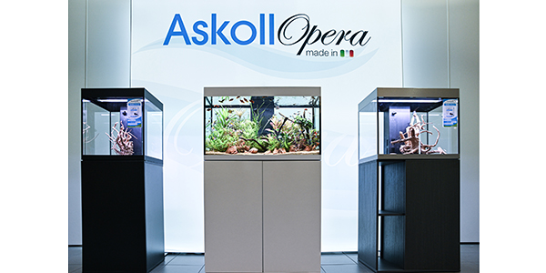 ASKOLL OPERA 110 BIANCO