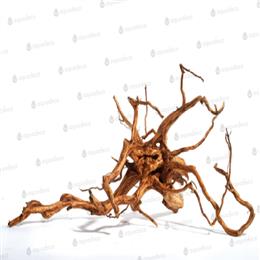 RED MOORWOOD 50-60cm