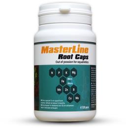 MASTERLINE ROOT CAPS 125pz.