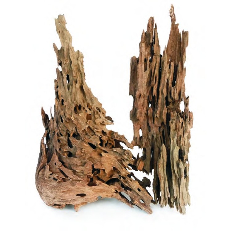 DRAGON WOOD SIZE S (10–20 CM)