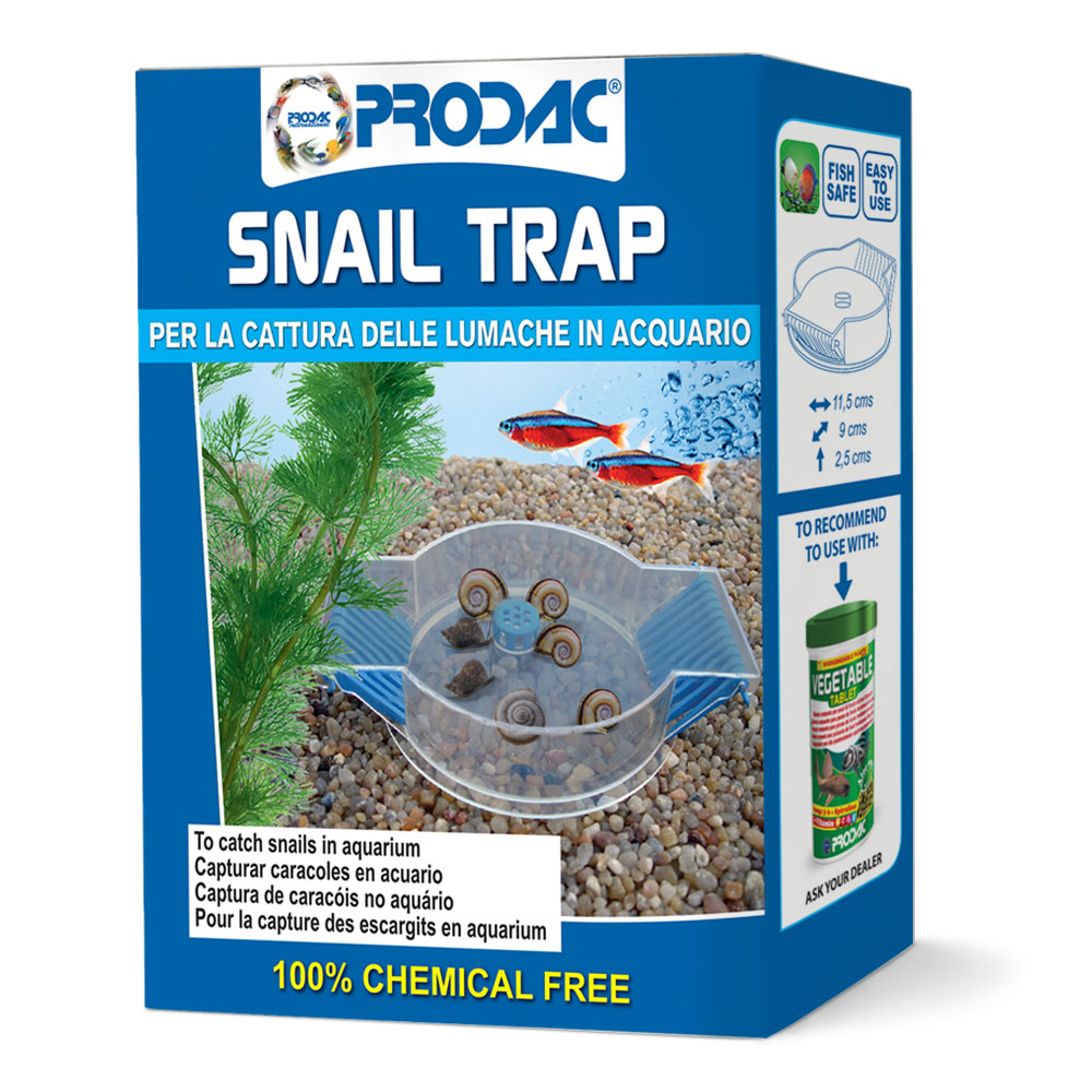 SNAIL TRAP
