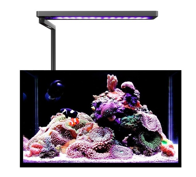 MICMOL SOLO 20w NERO  ACQUA SALATA