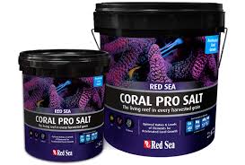 Risultati immagini per red sea coral pro salt