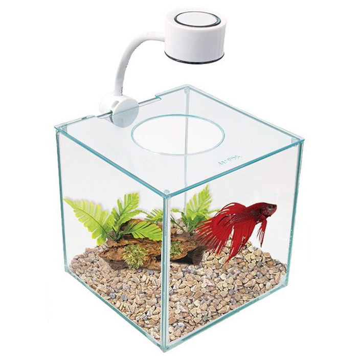 MARINA CUBUS GLASS BETTA