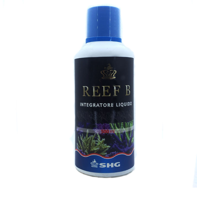 REEF B