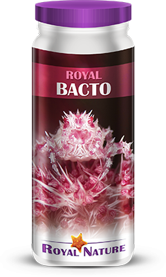 ROYAL BACTO