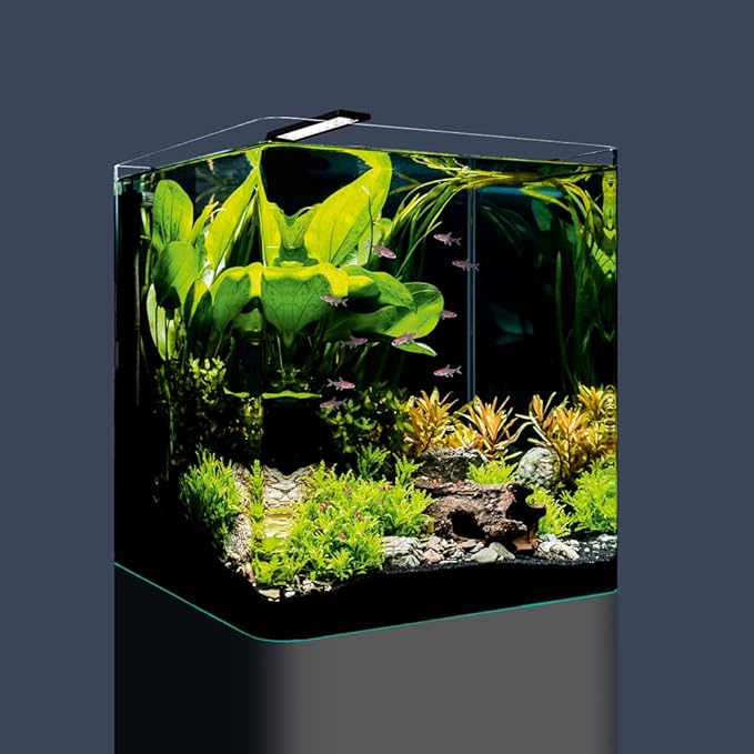 DENNERLE NANO CUBE BASIC 60 Litri