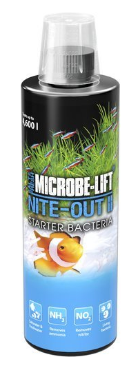 NITE OUT II 236ml